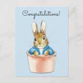ポットに座るウサギのピーター ポストカード (正面)