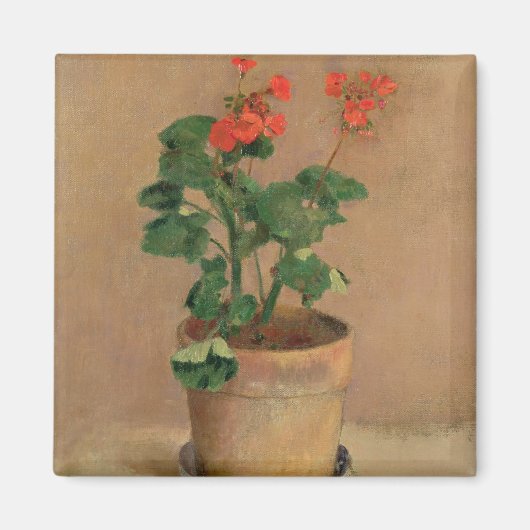 ポットのゲラニウム, c.1905 (キャンバス上の油) マグネット (正面)