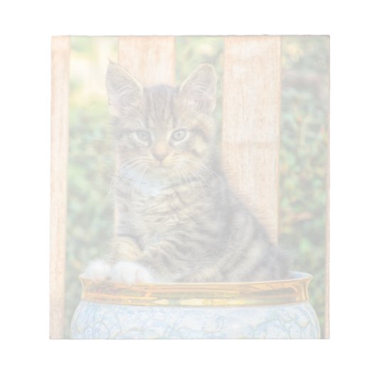 ポットのベビー猫 ノートパッド (正面)