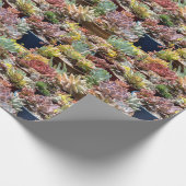 ポットの多肉植物 ラッピングペーパー (角)