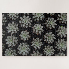 ポットの多肉 ジグソーパズル