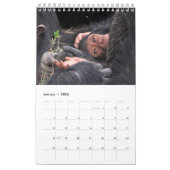 ポットの金ゴールドケニアの野生動物カレンダー2014 （1ページ） カレンダー (1月 2026)