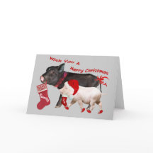 ポットベリーピグメリークリスマス