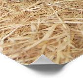 ポットベリーピッグス巨大なポスタープリント ポスター (角)