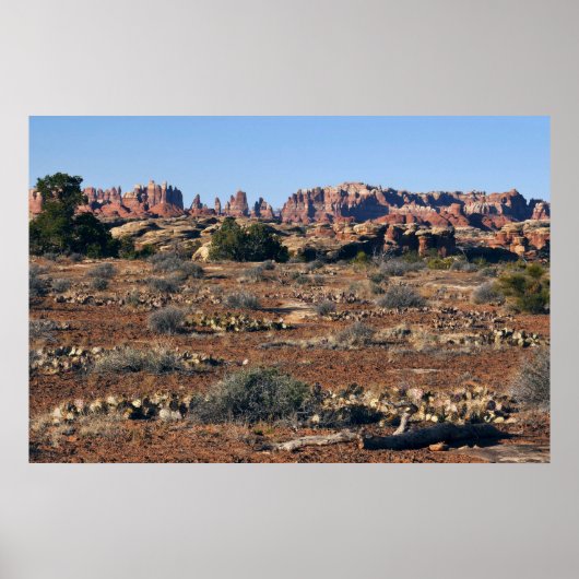 ポットホールポイントのトレイルから針 ポスター (正面)