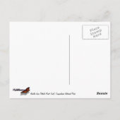 ポットホールポイントのトレイルから針 ポストカード (裏面)