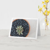 ポット カード (黄色い花)