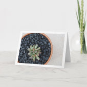 ポット カード (正面)