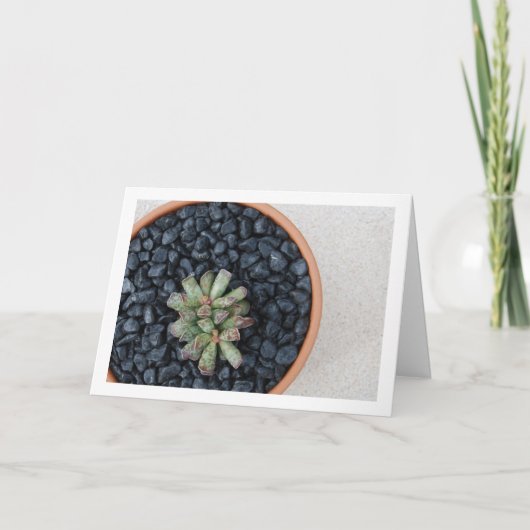 ポット カード (正面)