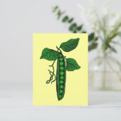 ポッド内の豆 ポストカード (スタンド正面)