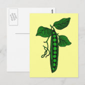 ポッド内の豆 ポストカード (正面/裏面)