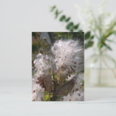 ポッド ポストカード (スタンド正面)