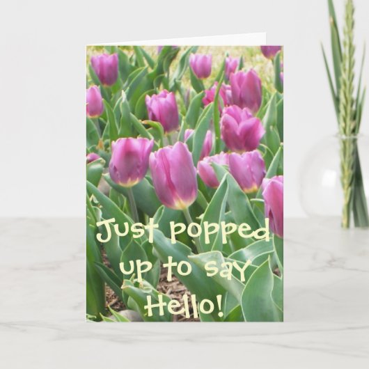 ポッピンで挨拶しろ! カード (正面)