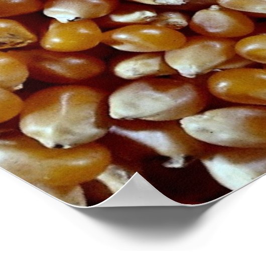 ポップされていないポップコーンのカーネルテクスチャのクローズアップ ポスター (角)