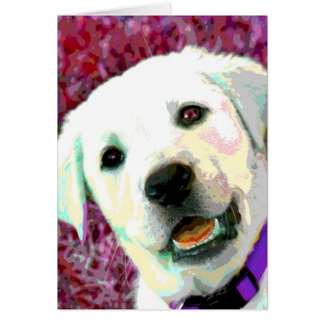 ポップアートのイエロー・ラブラドール・レトリーバーの子犬 (正面)