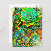 ポップアートの多肉植物園のポストカード ポストカード (正面/裏面)
