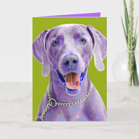 ポップアートWeimaraner カード (正面)