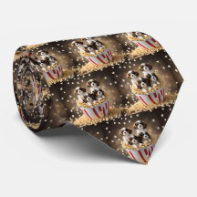 ポップコーンの中のクワッド キャバリア スパニエル子犬