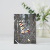 ポップコーン・アンド・クランベリーズ・ガーランド ポストカード (スタンド正面)