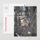 ポップコーン・アンド・クランベリーズ・ガーランド ポストカード (正面/裏面)