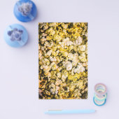 ポップコーン チラシ (シングル)