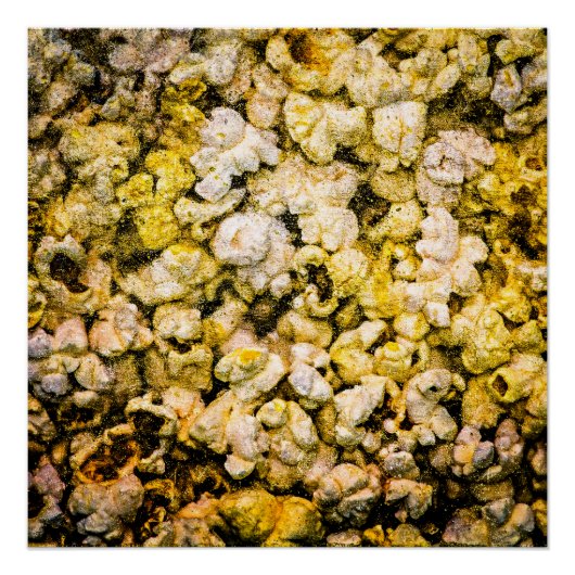 ポップコーン ポスター (正面)