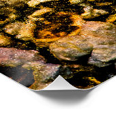 ポップコーン ポスター (コーナー)