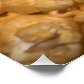 ポップコーン ポスター (コーナー)