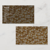 ポップコーン 名刺 (正面/裏面)