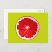 ポップ・アートのアートピンクのグレープフルーツオリジナル水彩 ポストカード (正面/裏面)