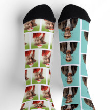 ポップ・アートのCulture Signable Add Photoパーソナライズされたカスタム