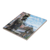 ポツダムの宮殿の近くの石の騎士像 タイル (側面)