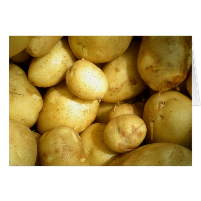 ポテトカ空白のード (正面横)