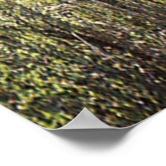 ポテトクリークログキャビンの歴史…... ポスター (角)