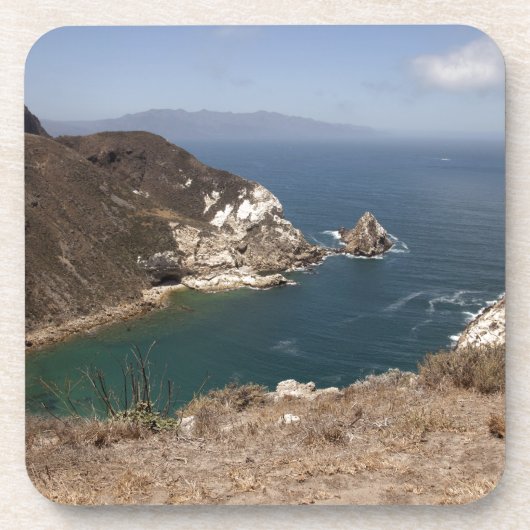 ポテトハーバー コースター (正面)