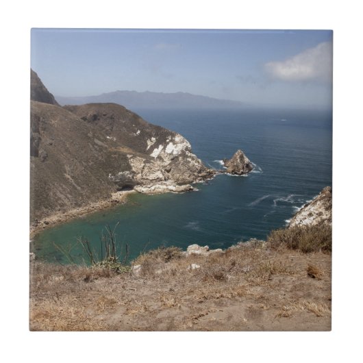 ポテトハーバー タイル (正面)