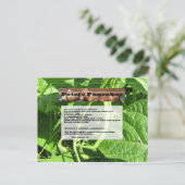 ポテトパンケーキレシピはがき ポストカード (スタンド正面)