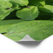 ポテトフィールド ポスター (角)