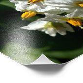 ポテトフラワーズプリント フォトプリント            (角)