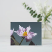 ポテトフラワー ポストカード (スタンド正面)