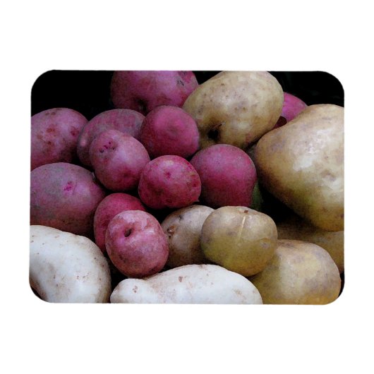 ポテトマグネット マグネット (横)