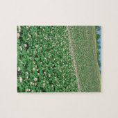 ポテト分野3 ジグソーパズル (横)