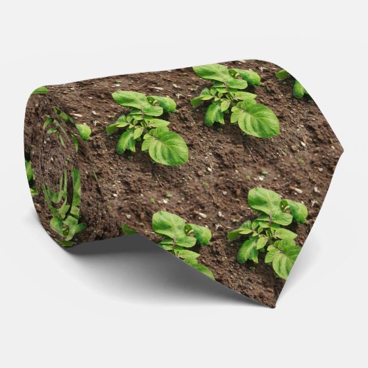ポテト植物 ネクタイ (ロール)