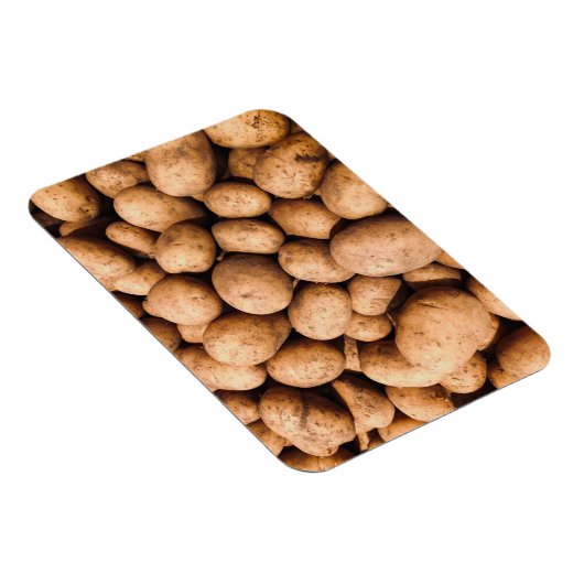 ポテト マグネット (右側)