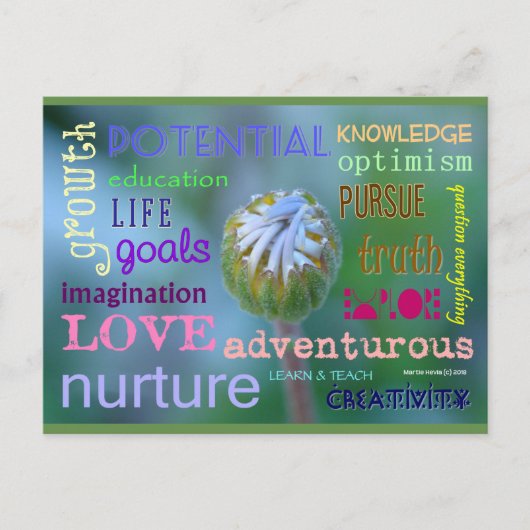 ポテンシャルな成長 | ブルービーチソング™ ポストカード (正面)