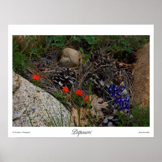 ポトゥーリプリント ポスター (正面)