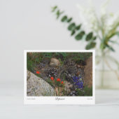 ポトゥーリプリント ポストカード (スタンド正面)