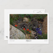 ポトゥーリプリント ポストカード (正面/裏面)