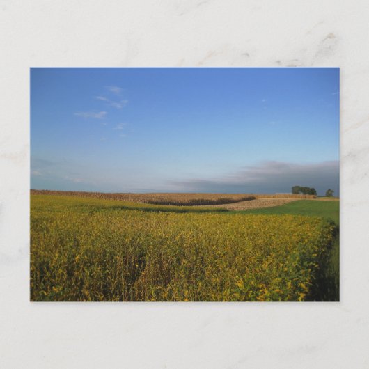 ポトマック1 ポストカード (正面)