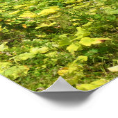 ポト実在ル – マデイラ ポスター (角)